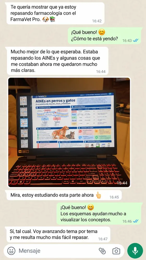 Testimonio por WhatsApp: repasando AINEs con FarmaVet Pro